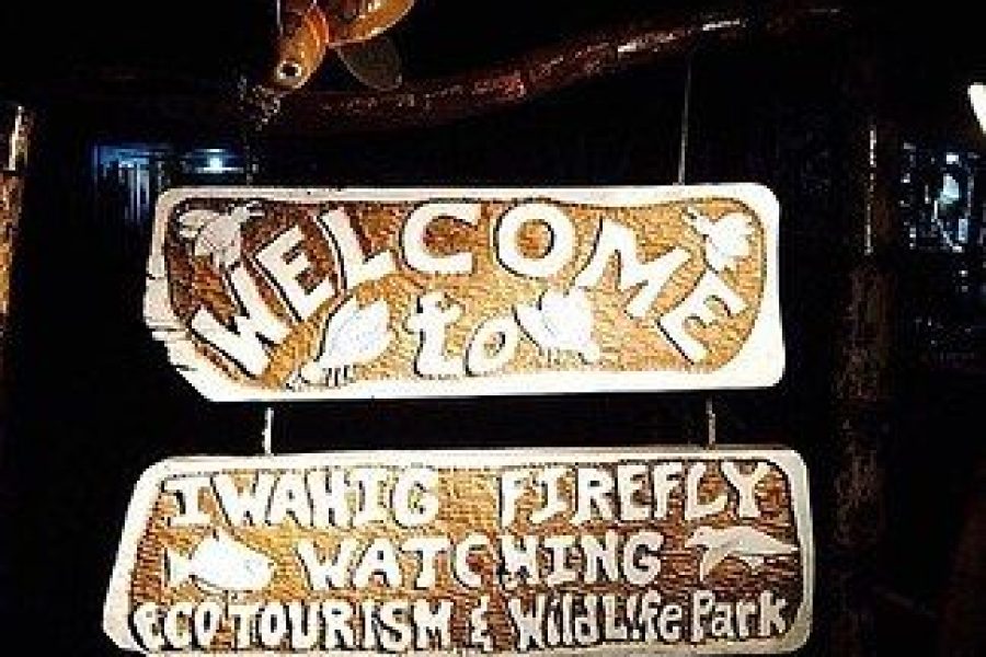 Firefly Watching – PPC BAY