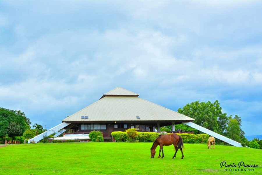 PUERTO PRINCESA CITY TOUR – IN TOWN – SUPER PREMIUM