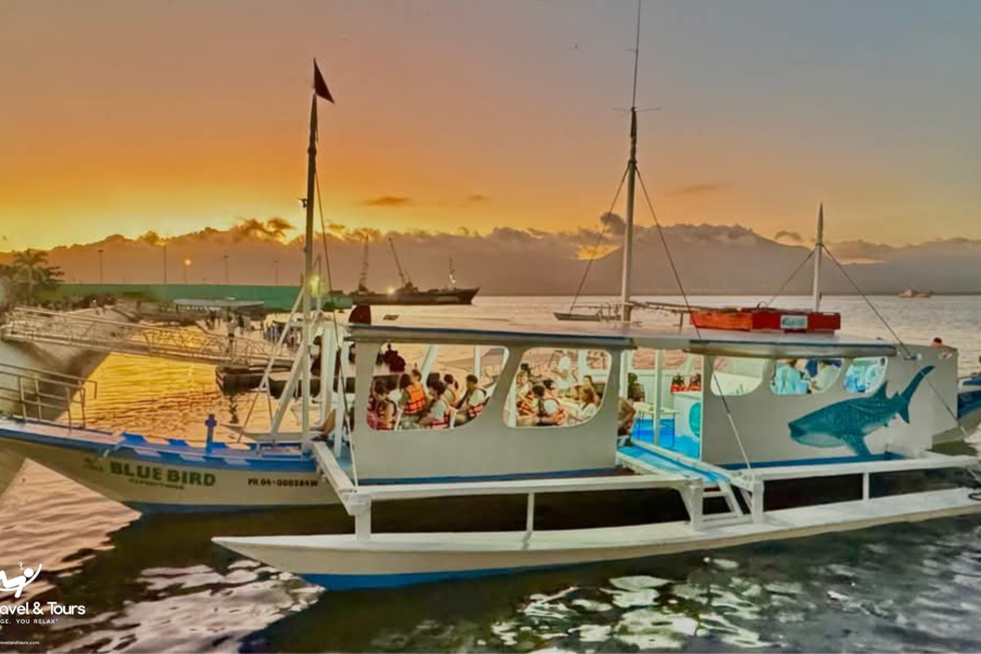 FIREFLY WATCHING – IWAHIG