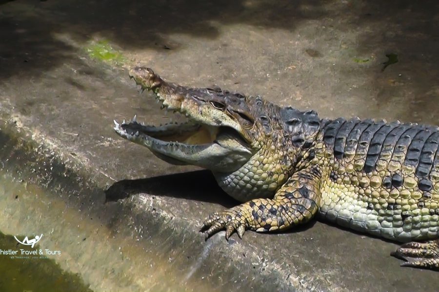 PUERTO PRINCESA CITY TOUR-OFF TOWN- PREMIUM